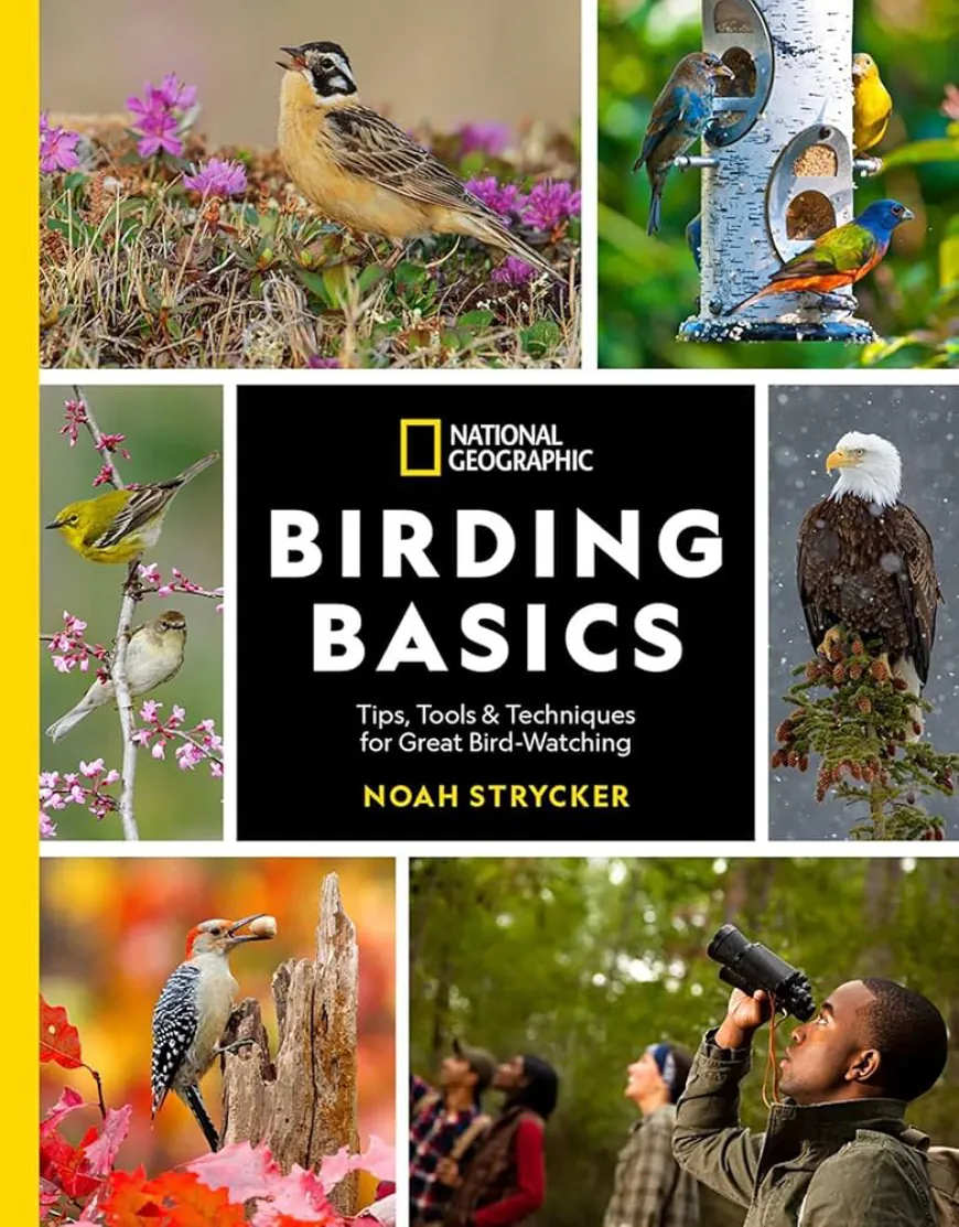 Birding Essentials and Techniques