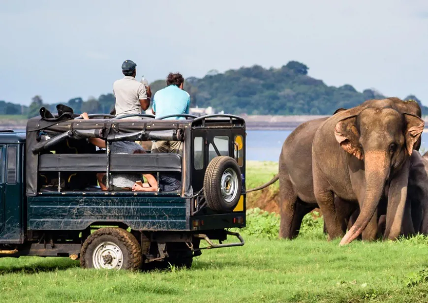 Yala Safari Essentials