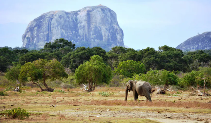 Yala Park Weather Guide