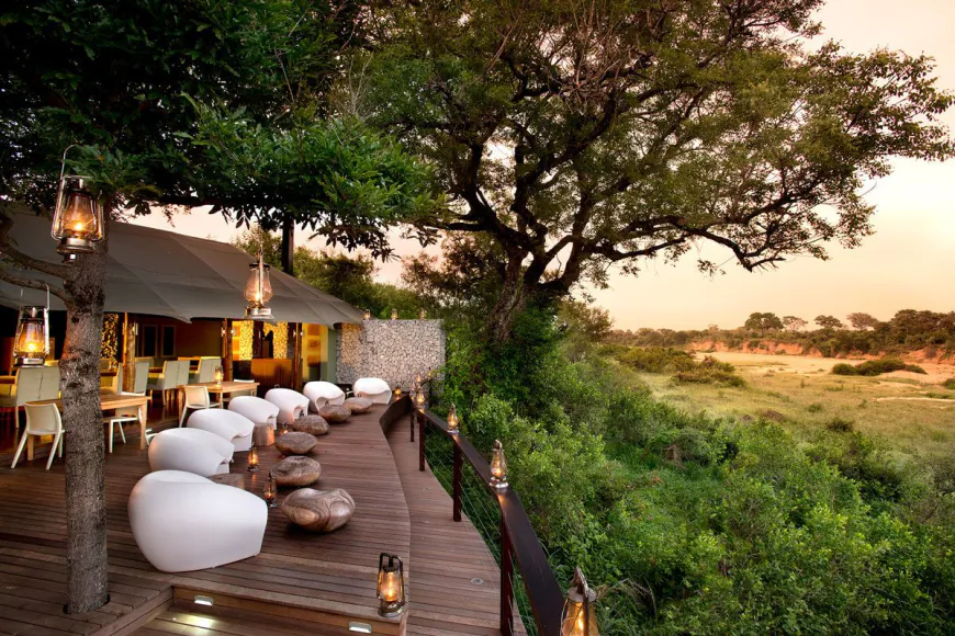 Elevate Your Safari Experience