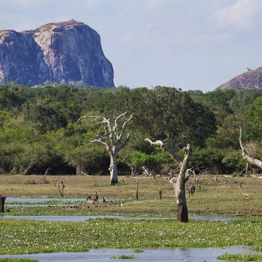 Yala Weather and Climate