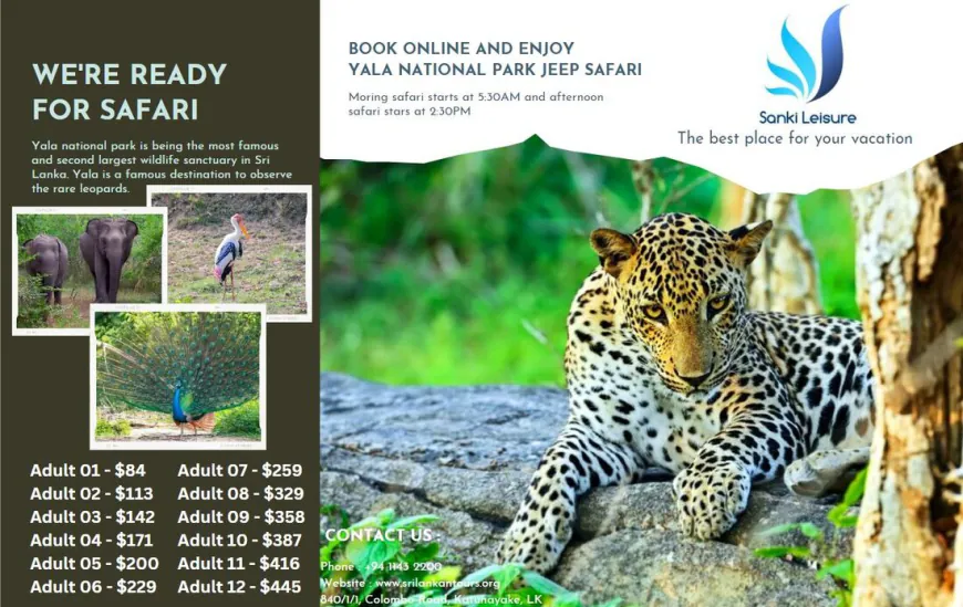 Yala Safari Cost Guide