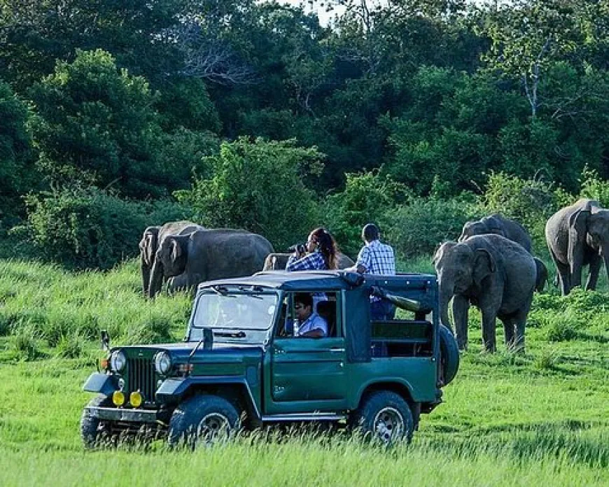 Transportation to Yala 