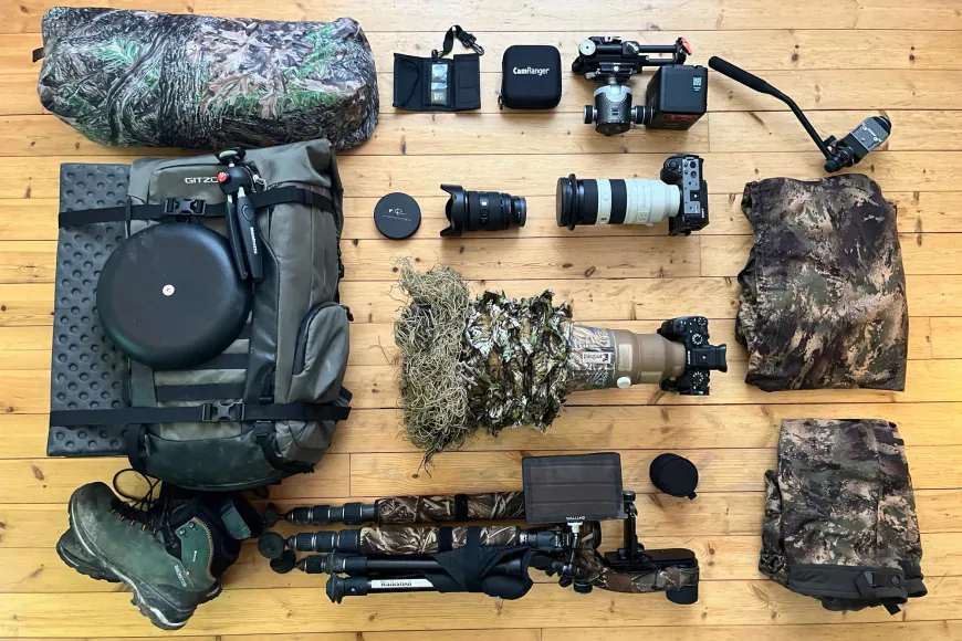 Wildlife Photography Essentials