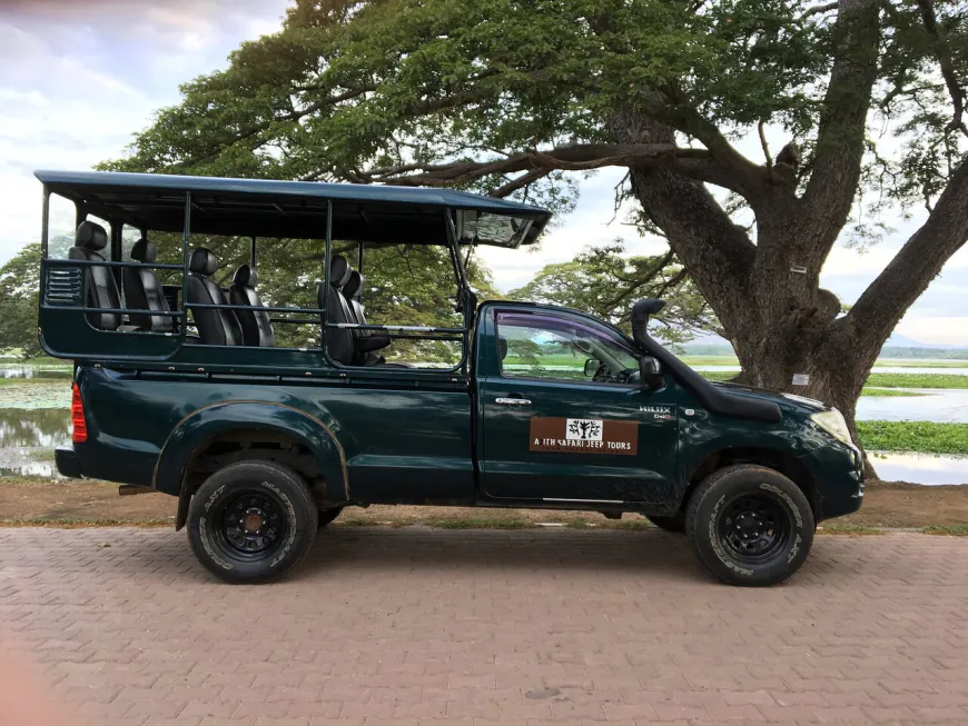 Safari Package Options